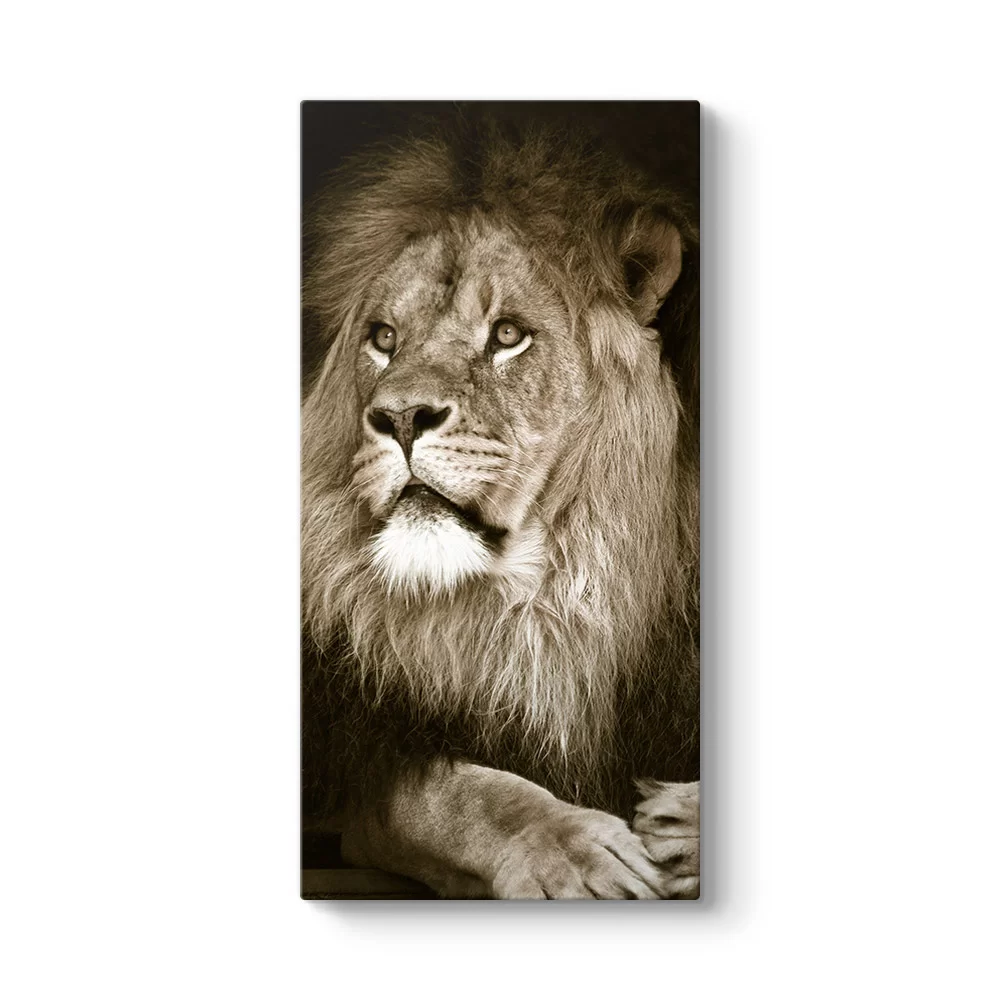Aslan Tablosu - Model 7